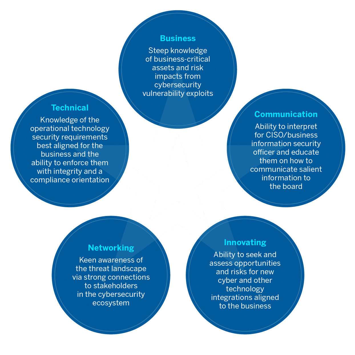 Board Cyber Strategist Skills Constellation