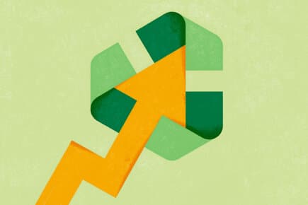 Advancing Sustainability in a Climate of Silence